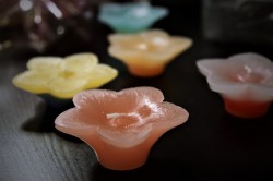 DSC02251